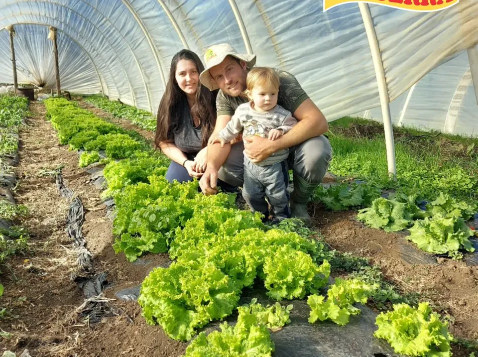 Família de agricultores cooperados, com o filho no colo, numa estufa de alface